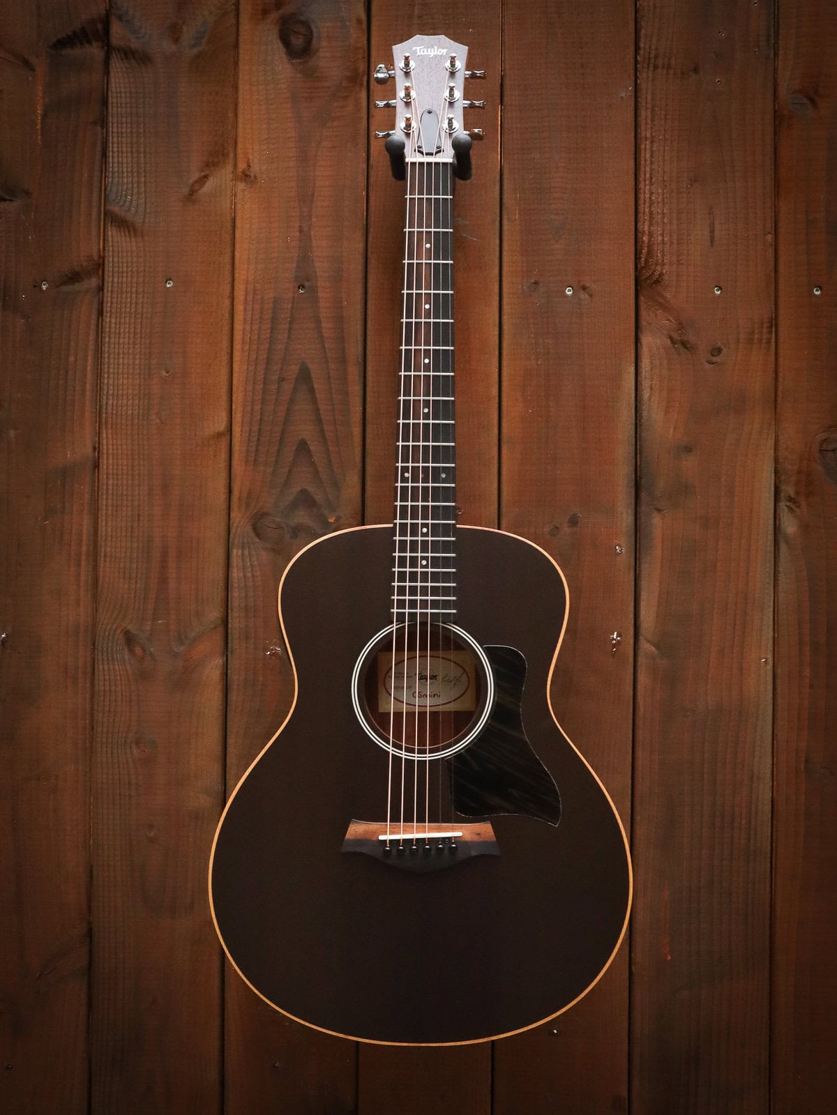Taylor gs mini limited edition clearance