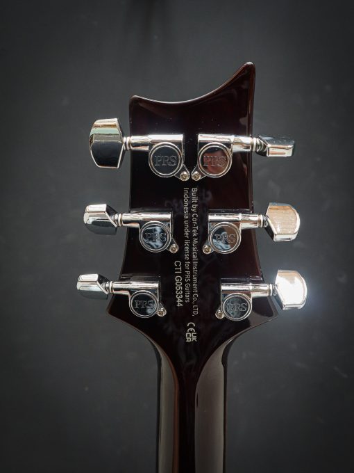 PRS SE DGT McCarty Goldtop - Image 13