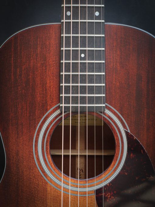 Eastman E1P Classic - Image 5
