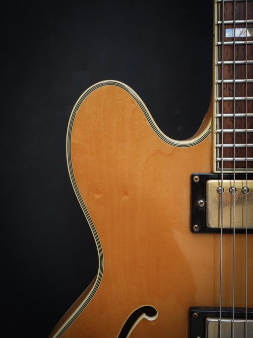 1989 Epiphone Sheraton II Natural (Used) - Image 5