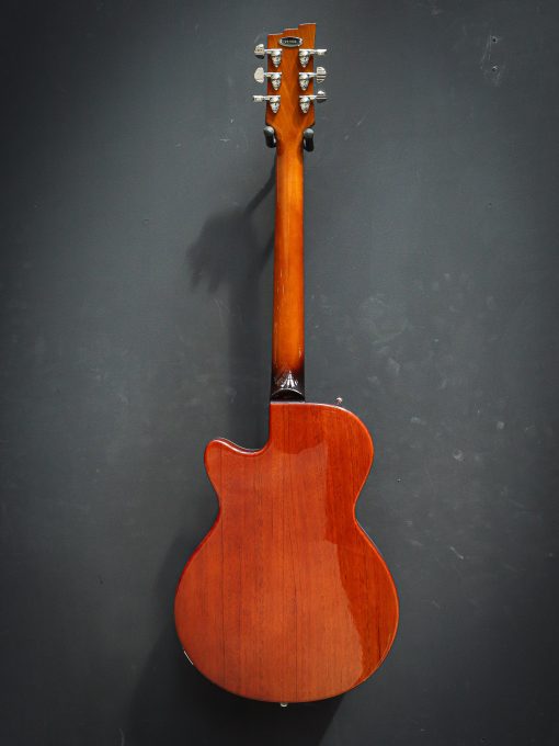 Duesenberg Starplayer CBR Catalina Green - Image 15