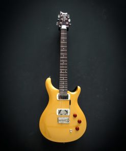 Alternative view of PRS SE DGT McCarty Goldtop