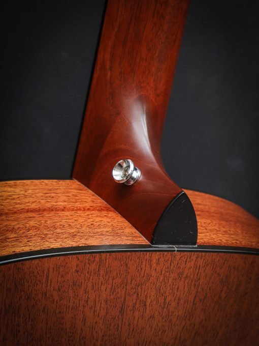 Taylor 310-L30 30th Anniversary LE (Pre-Owned) - Image 19