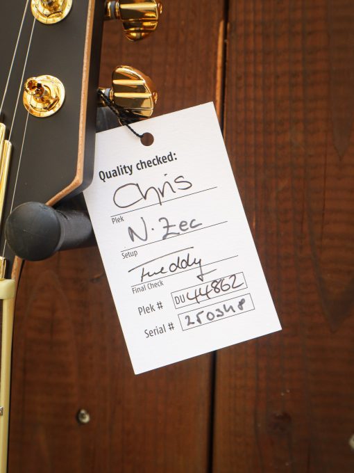 Duesenberg Starplayer TV Black Velvet - Image 16