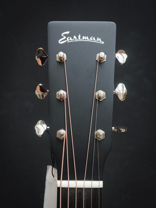 Eastman E1D-DLX - Image 11