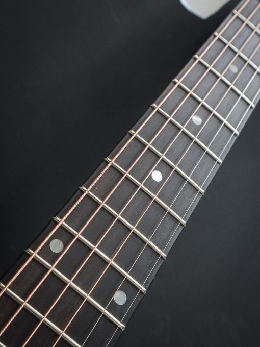 Eastman E1D-DLX - Image 13