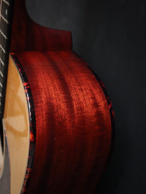 Eastman E1D-DLX - Image 9