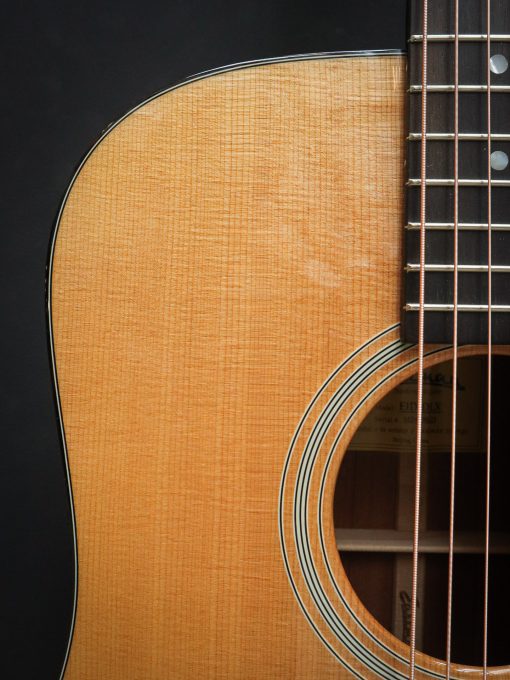 Eastman E1D-DLX - Image 7