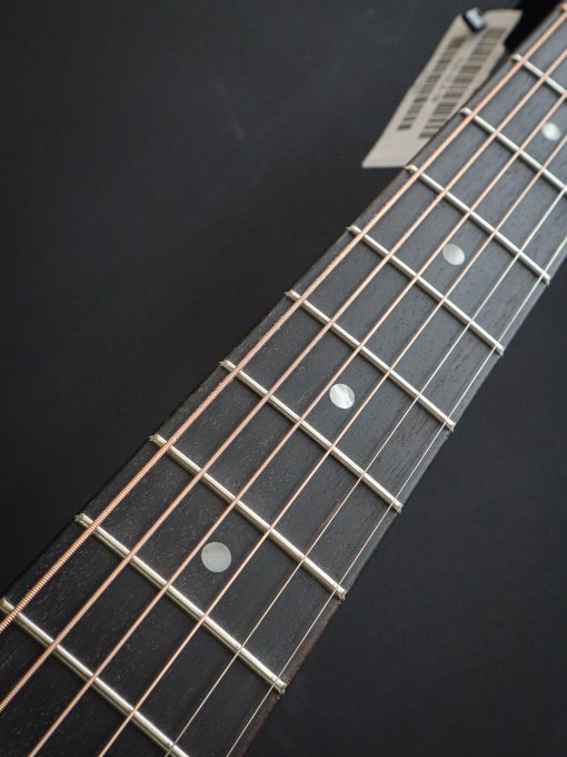 Eastman E2D-DLX - Image 11