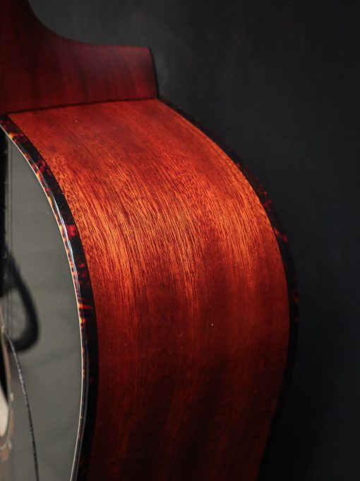 Eastman E2D-DLX - Image 12