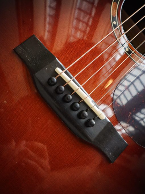 Eastman E2D-DLX - Image 10