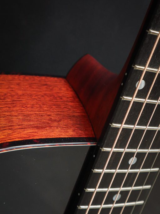 Eastman E2D-DLX - Image 8