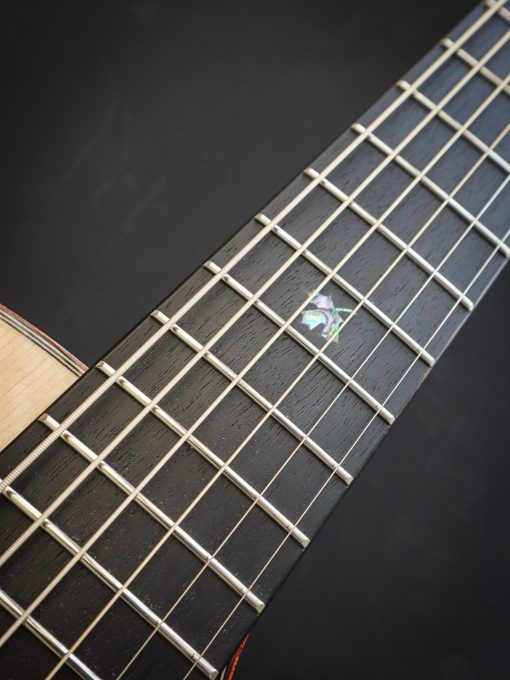 Dowina Master Series Acero GAC - Image 14