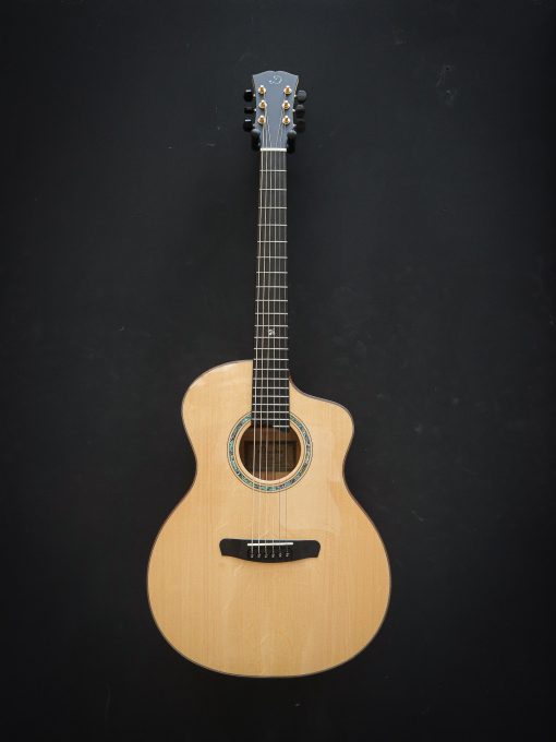 Dowina Master Series Acero GAC - Image 2