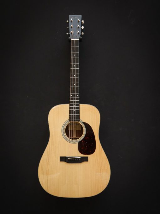 Eastman E10D (Pre-Owned) - Image 2