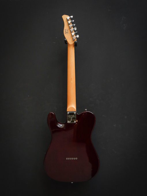 Sire Larry Carlton T7TM - Image 12