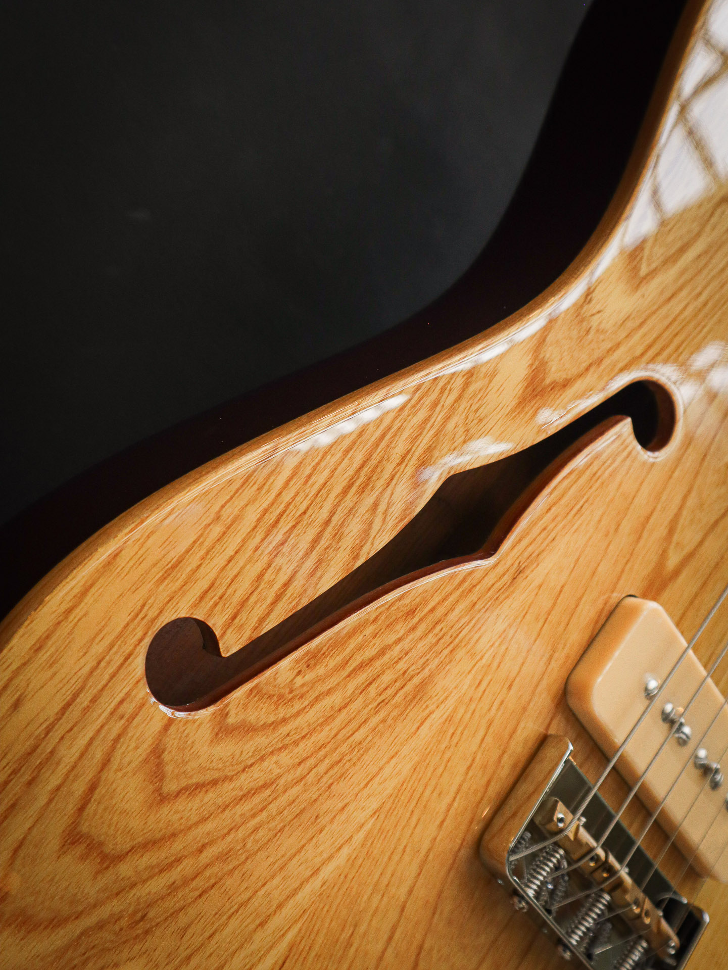 Sire Larry Carlton T7TM - Image 8
