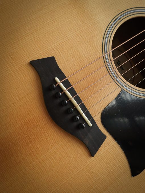 Taylor GS Mini Sapele - Image 8