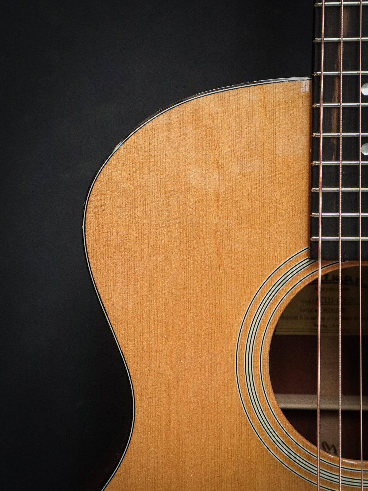 Eastman AC122-1CE-DLX - Image 6