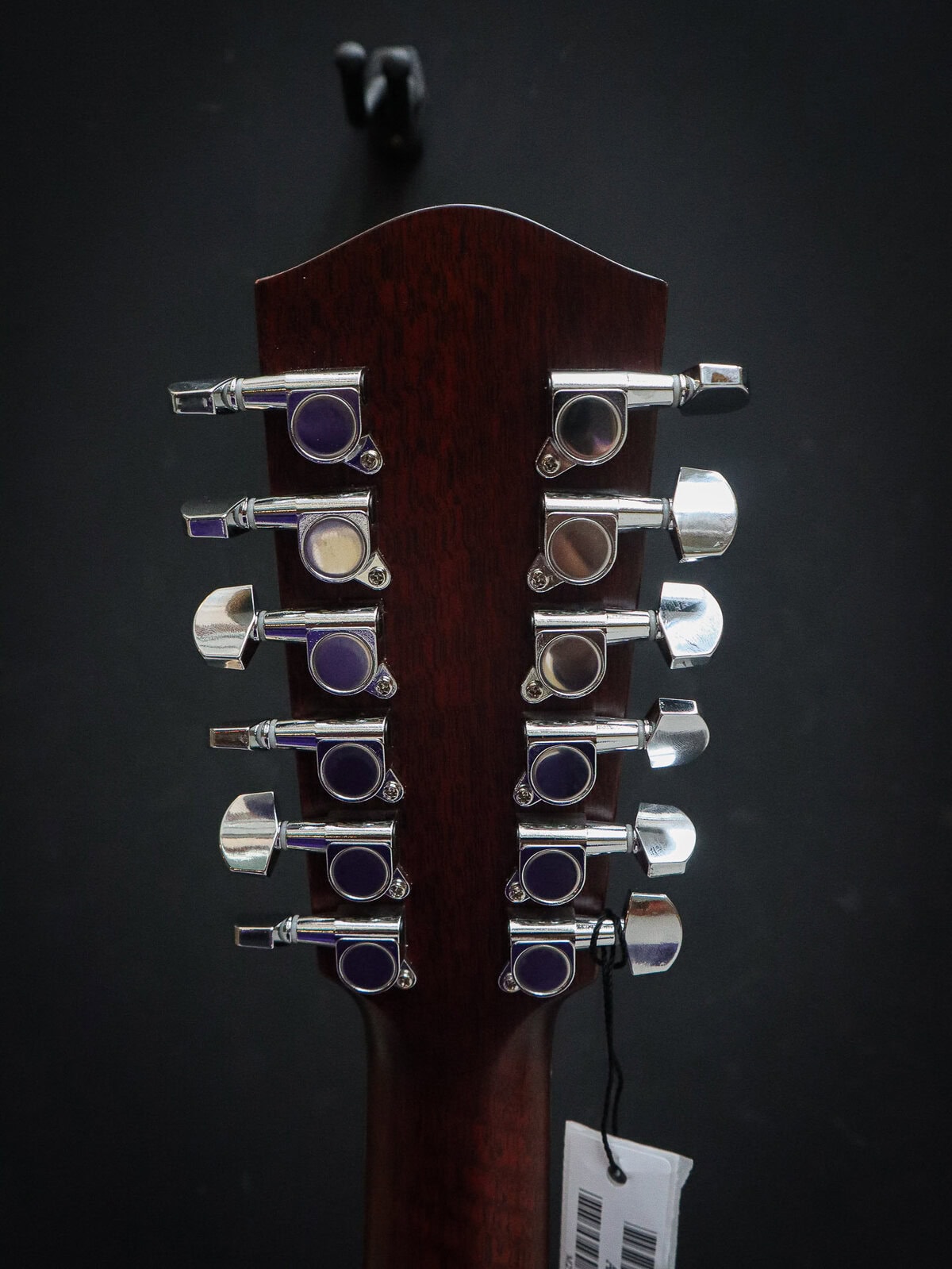 Eastman AC330CE-12 - Image 11