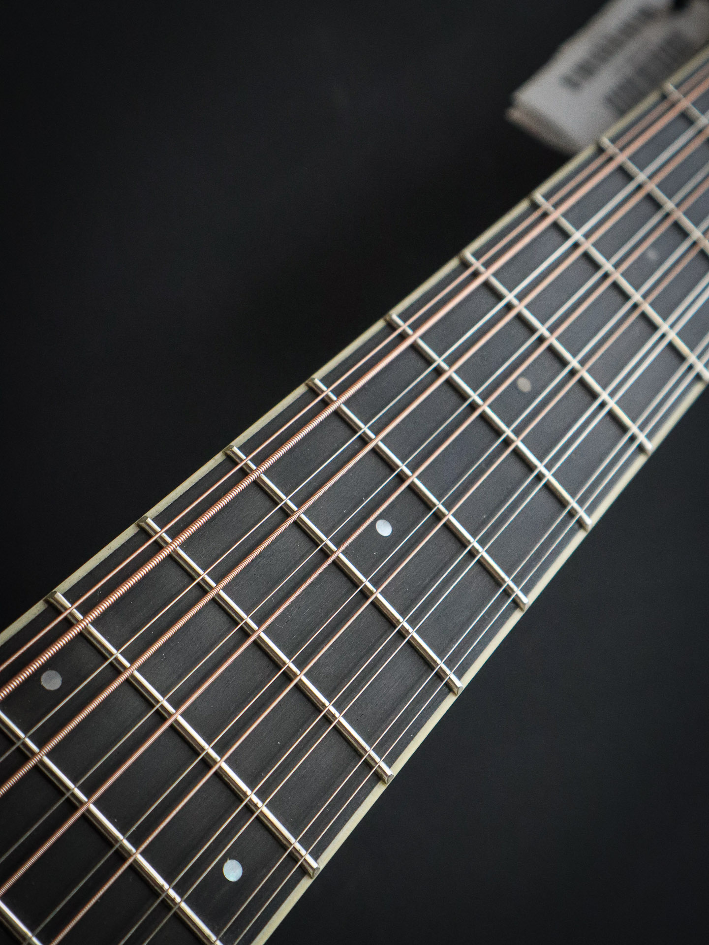 Eastman AC330CE-12 - Image 9