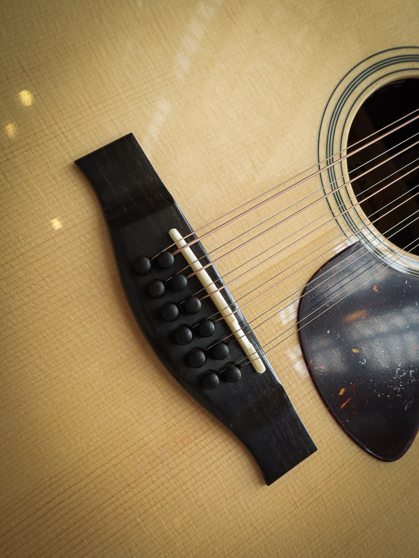 Eastman AC330CE-12 - Image 8