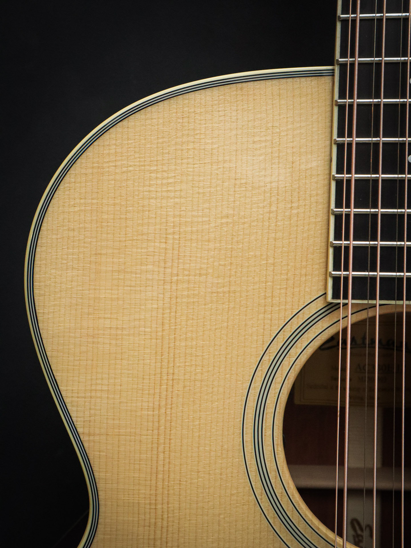 Eastman AC330CE-12 - Image 7