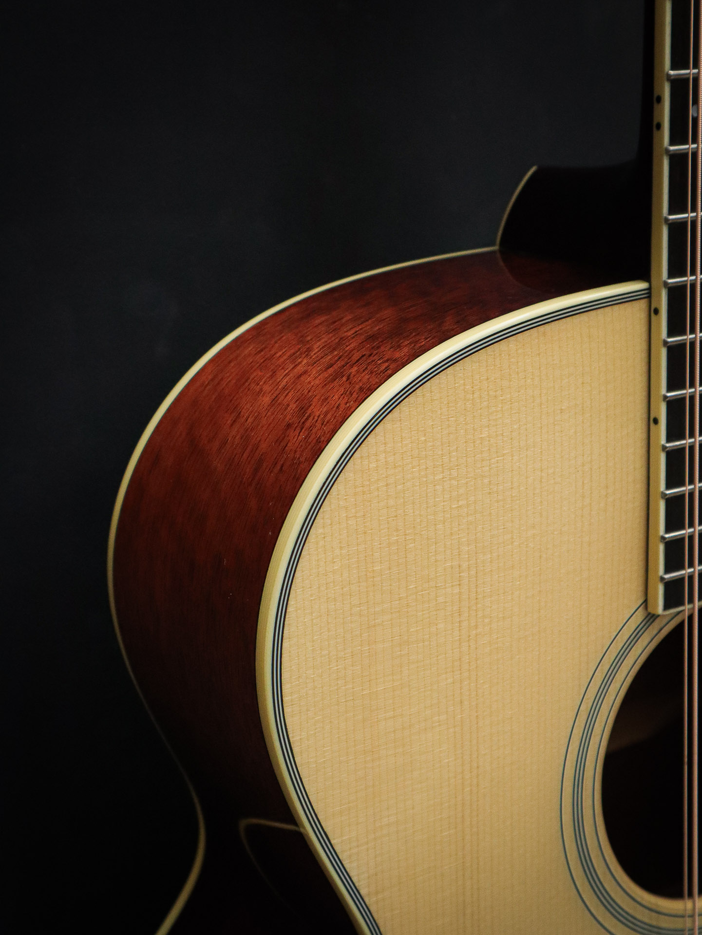 Eastman AC330CE-12 - Image 5