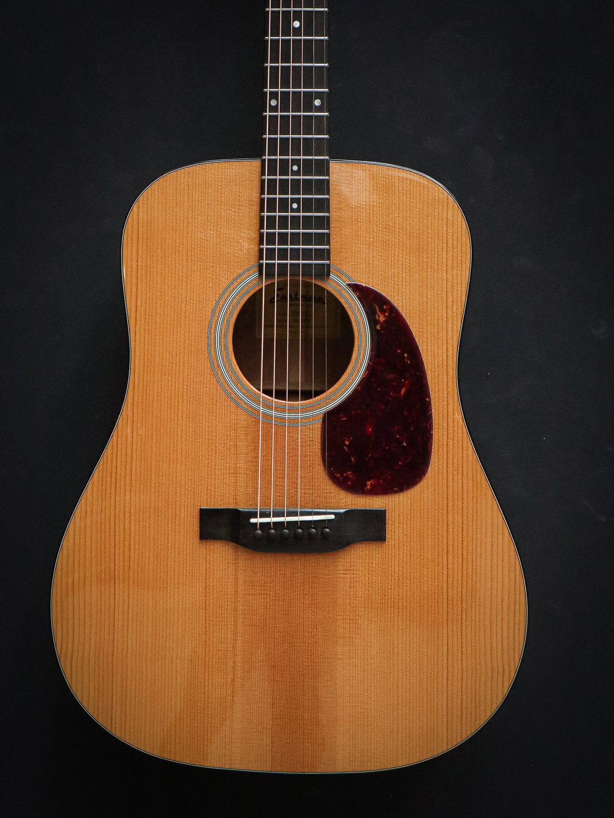 Eastman E10D Thermo-Cure - Image 3