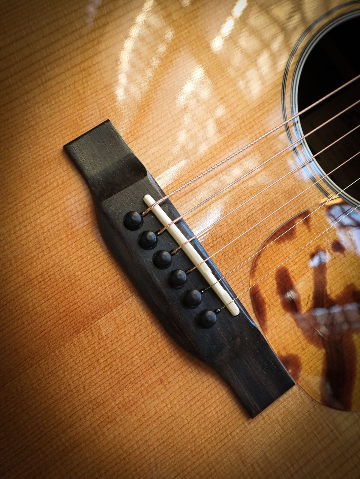 Eastman E20D TC Large Sound Hole - Kauffmann's Guitar Store