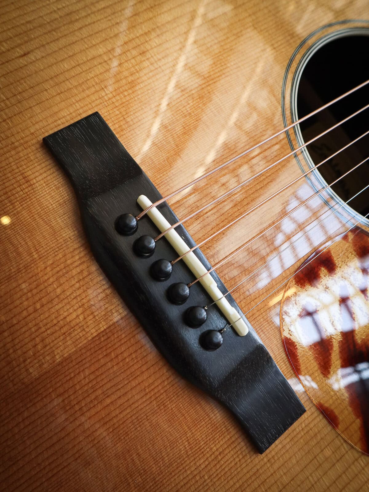 Eastman E20D TC Large Sound Hole - Image 9