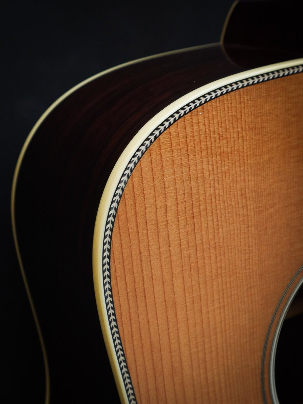 Eastman E20D TC Large Sound Hole - Image 5