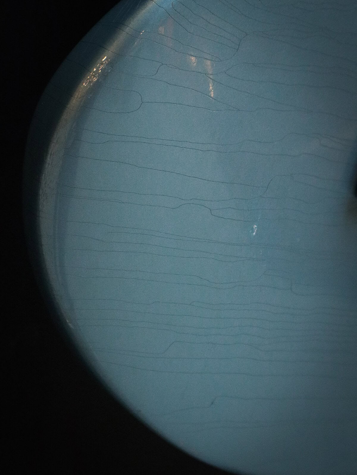 Kauffmann Cozy TL Ice Blue Metallic Pre-Owned - Image 10