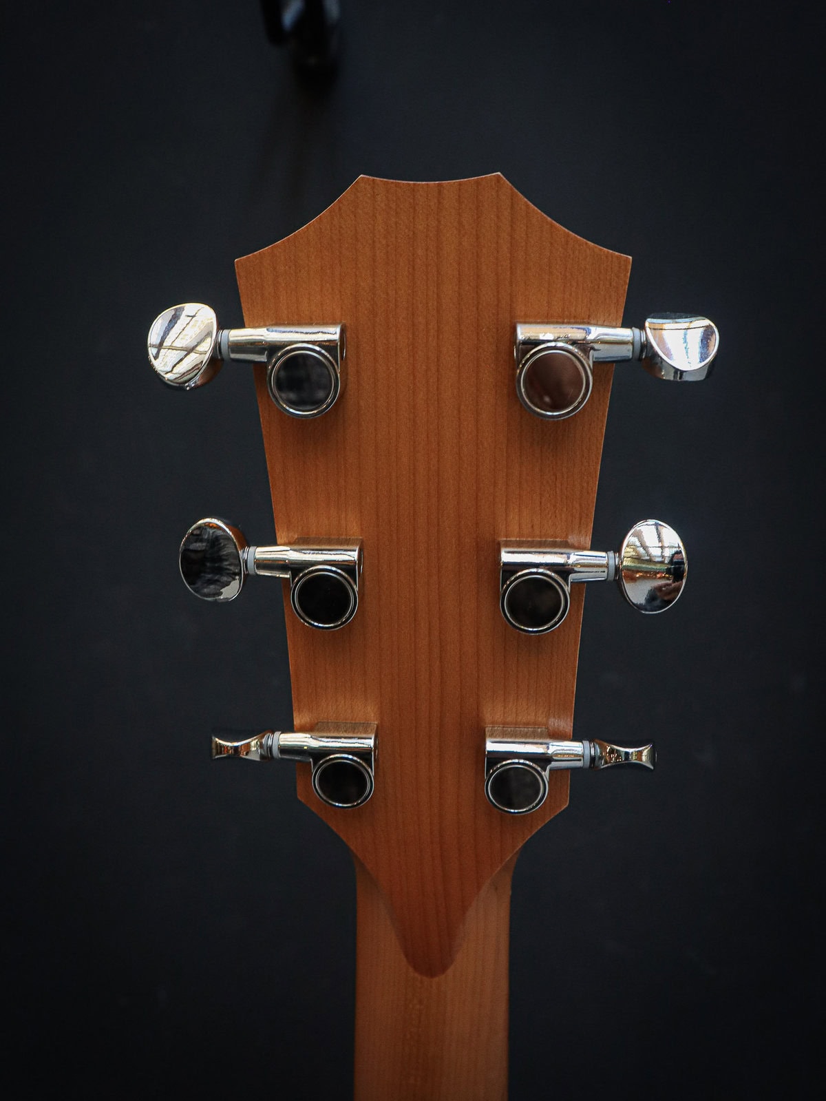 Taylor 24ce Sapele - Image 12