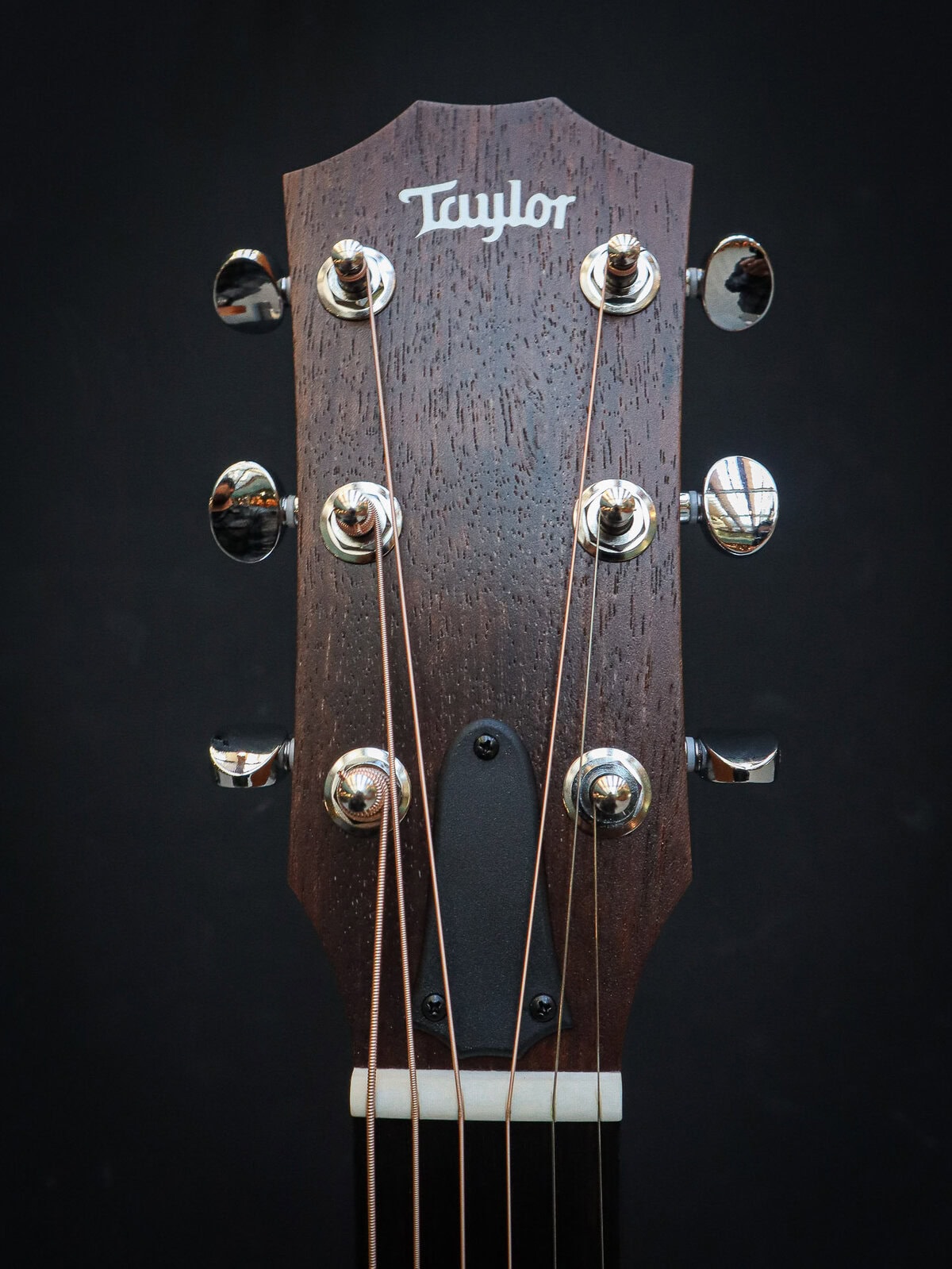 Taylor 24ce Sapele - Image 10