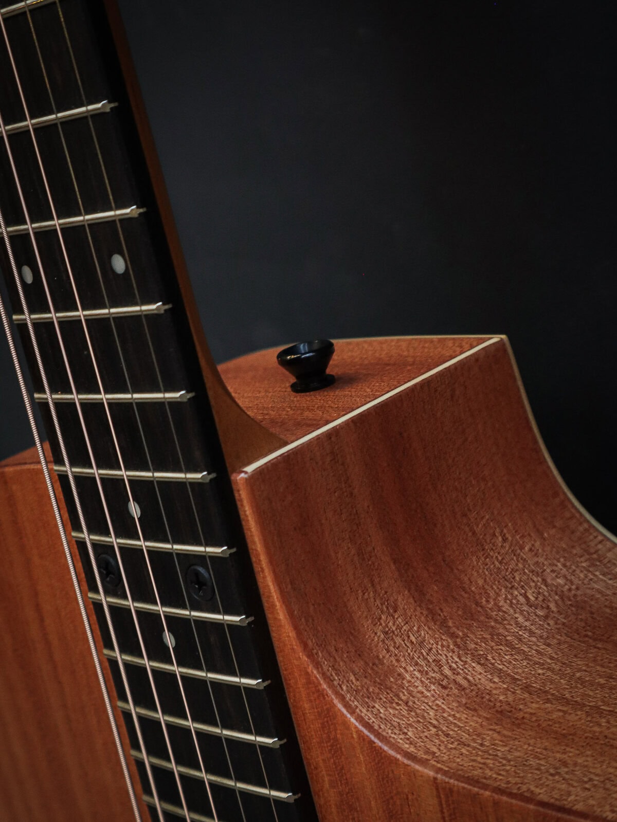 Taylor 24ce Sapele - Image 8