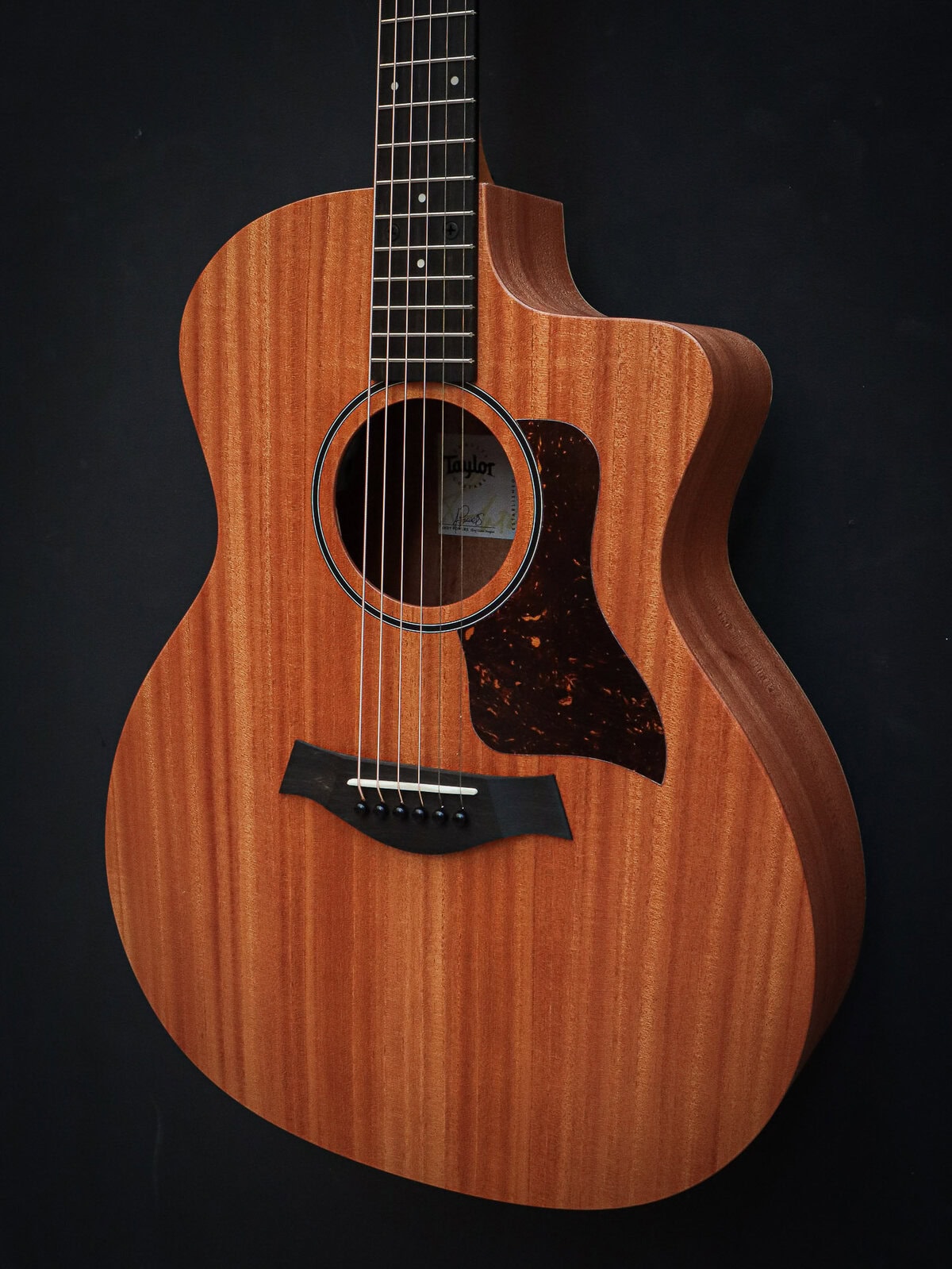 Taylor 24ce Sapele - Image 7