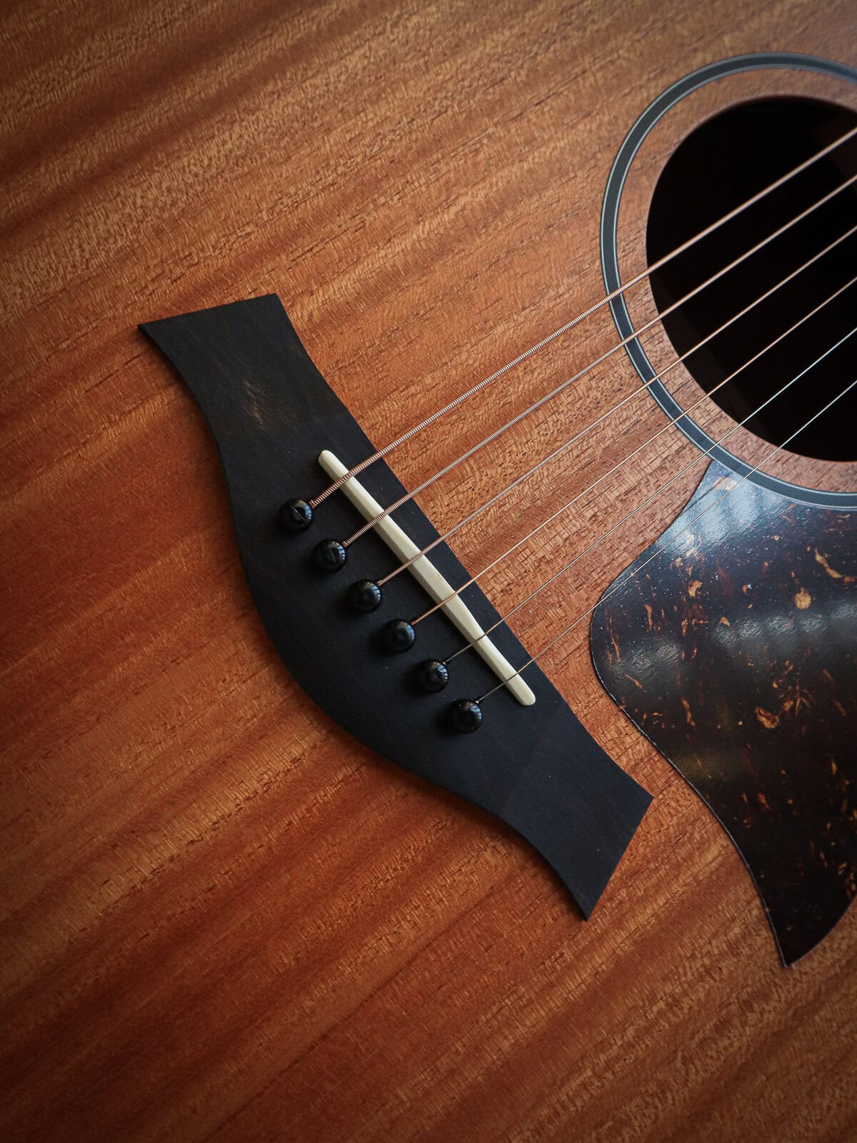 Taylor 24ce Sapele - Image 6