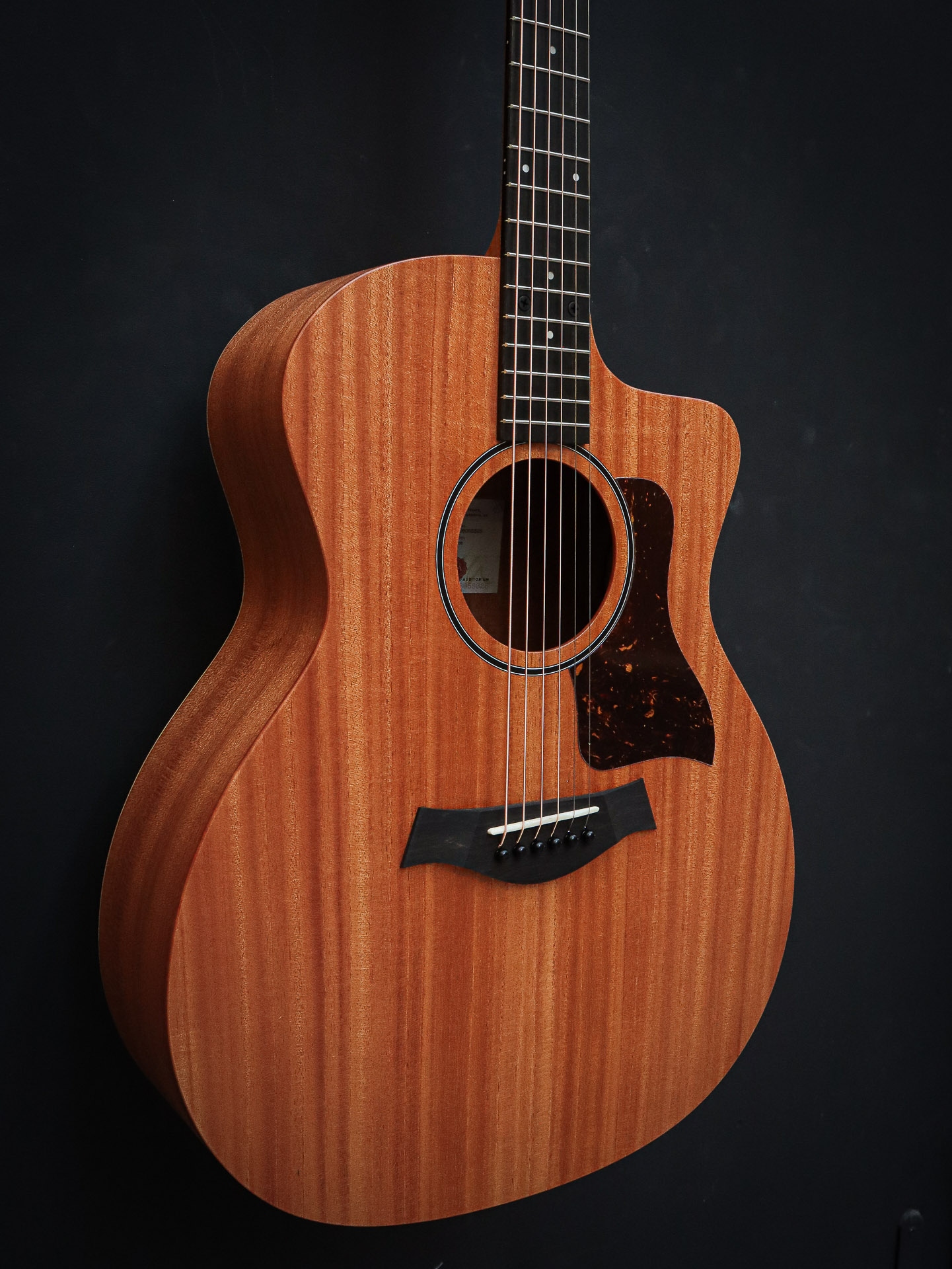 Taylor 24ce Sapele - Image 4