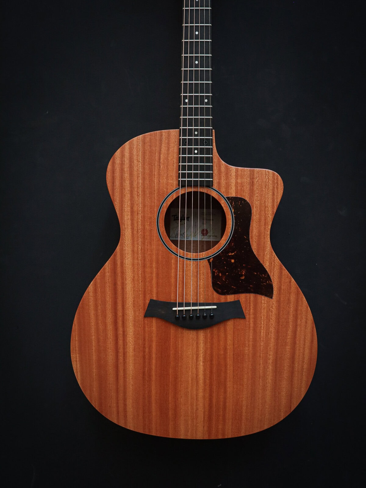 Taylor 24ce Sapele - Image 3