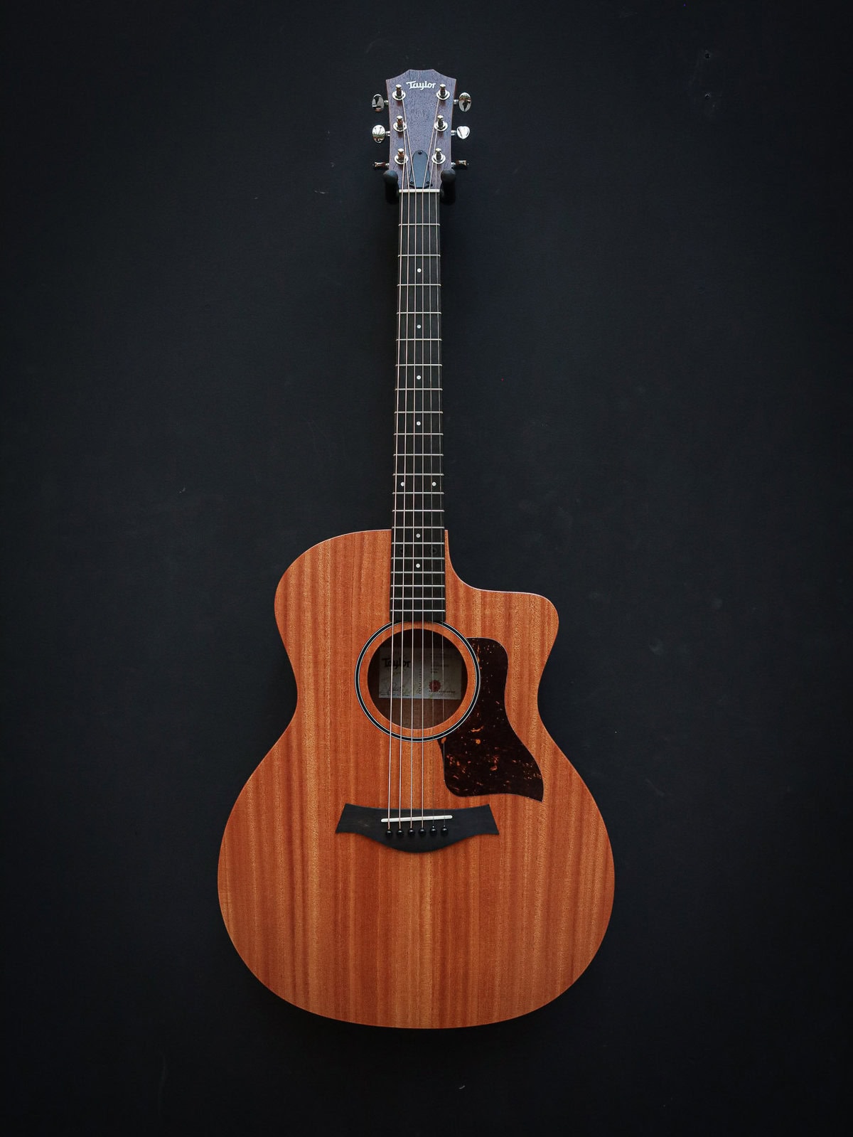 Taylor 24ce Sapele - Image 2