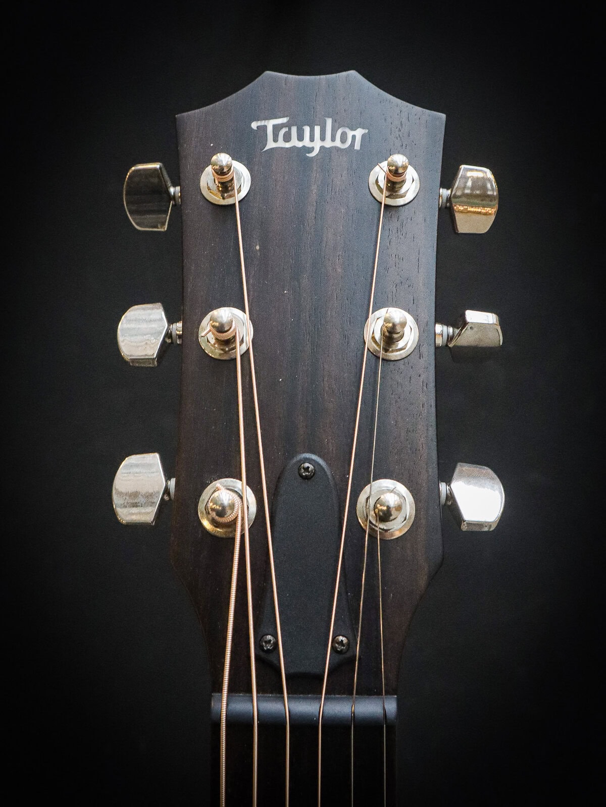 Taylor AD17 Pre-Owned - Image 12