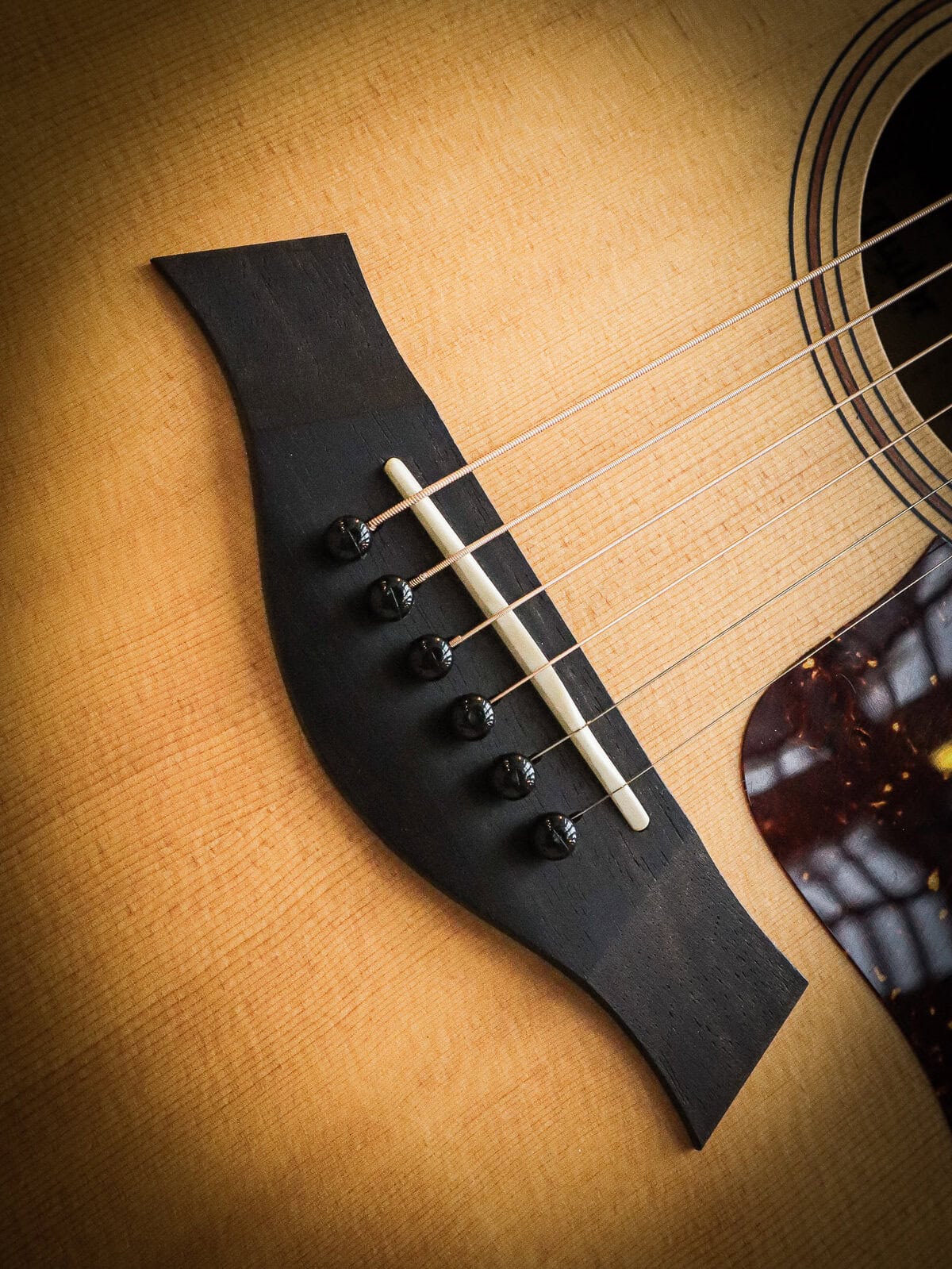 Taylor AD17 Pre-Owned - Image 9