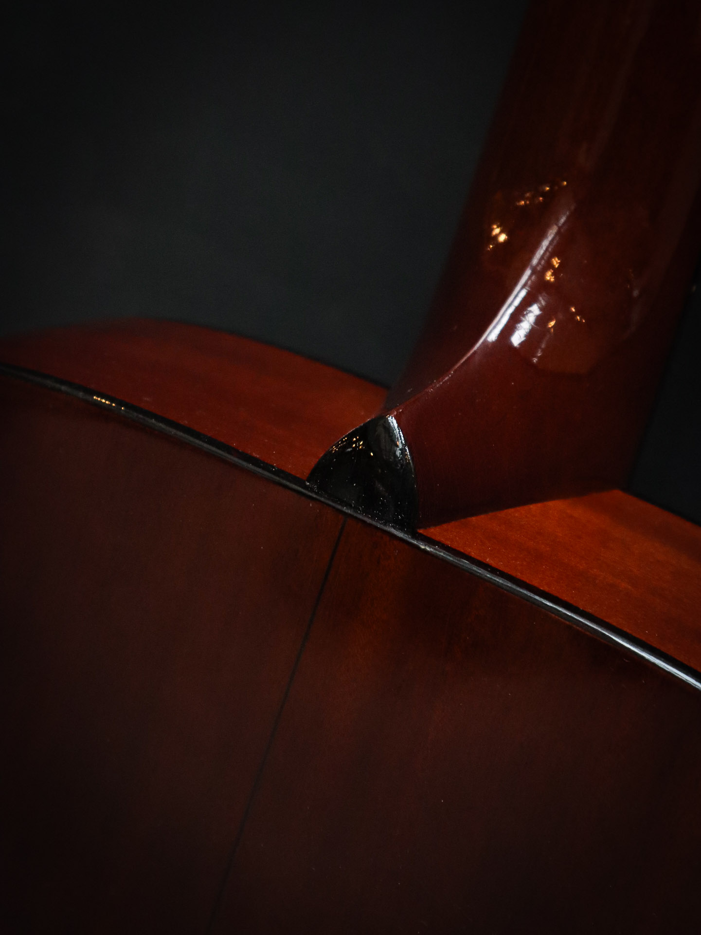 Atkin Essential OM - Image 16