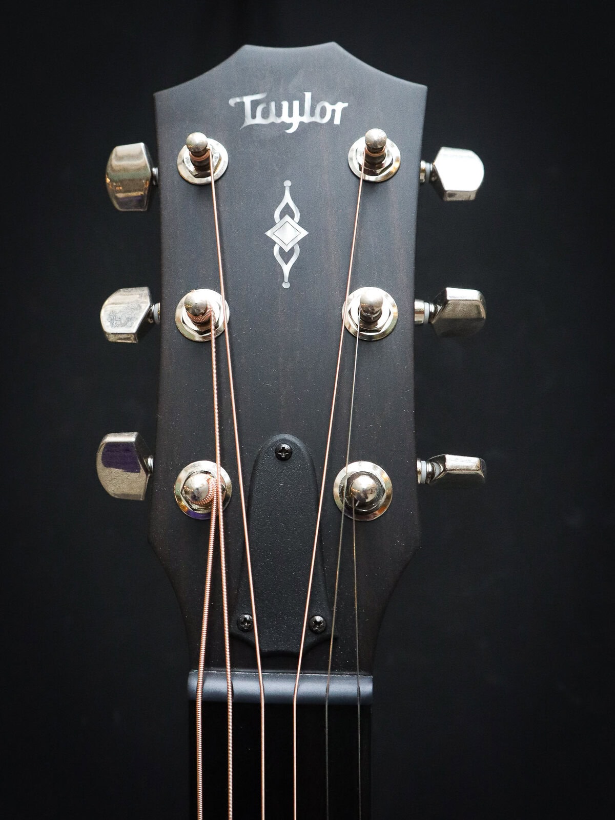 Taylor 314ce Ltd Koa - Image 11