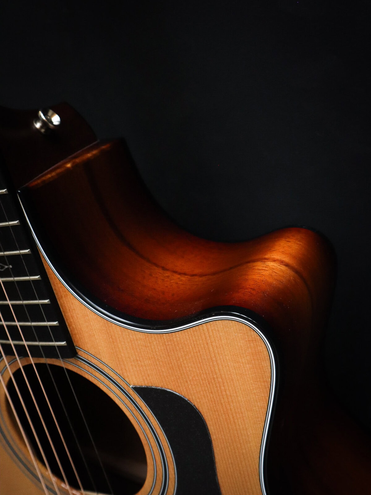 Taylor 314ce Ltd Koa - Image 10