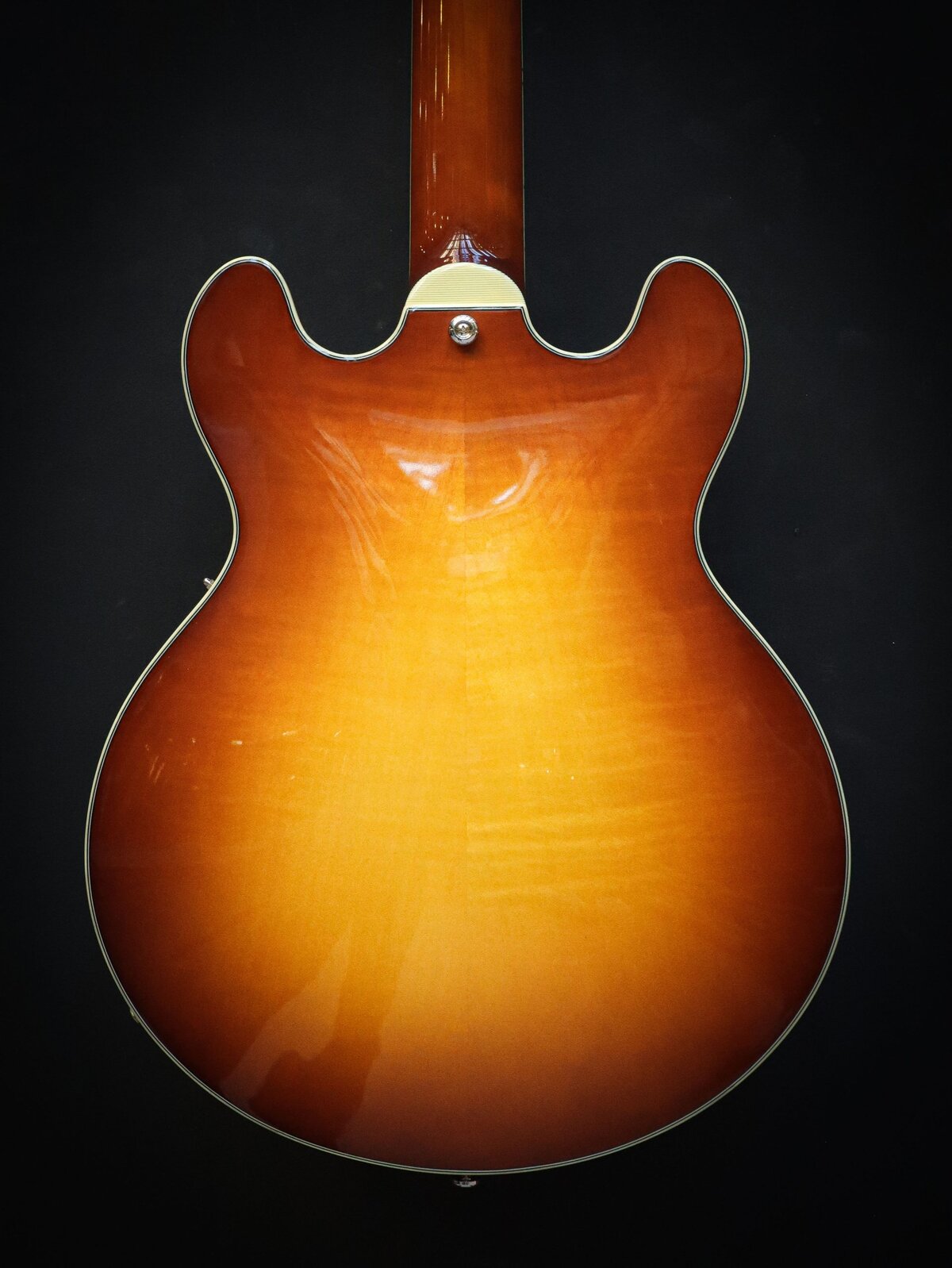 Eastman T484 Goldburst - Image 11