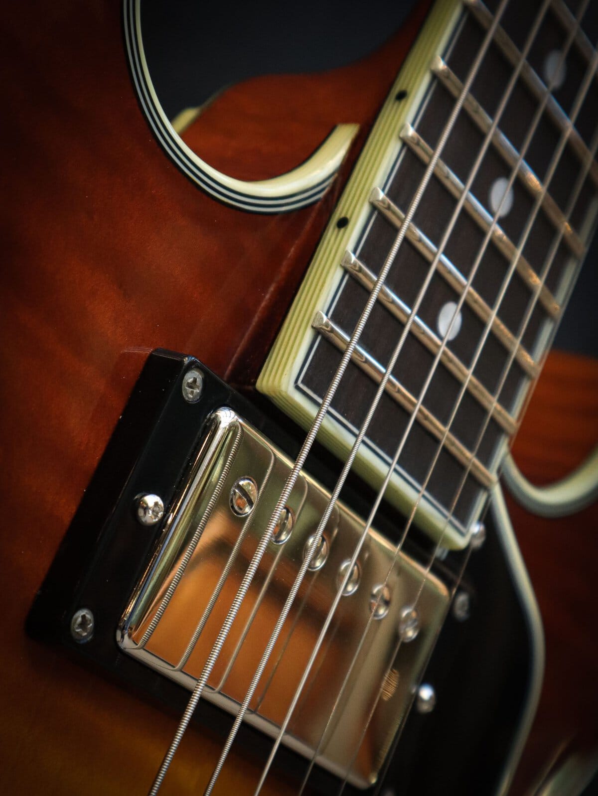 Eastman T484 Goldburst - Image 7