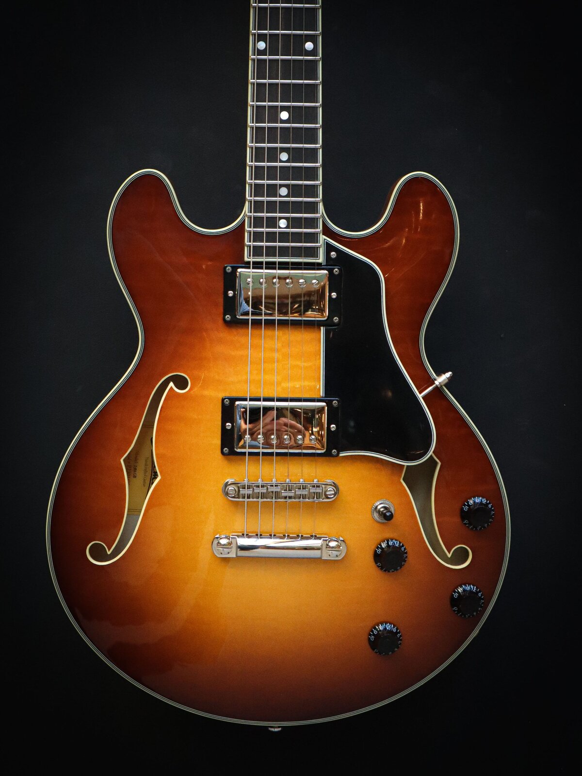 Eastman T484 Goldburst - Image 3