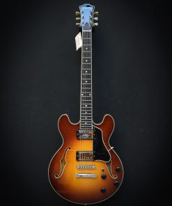 Alternative view of Eastman T484 Goldburst